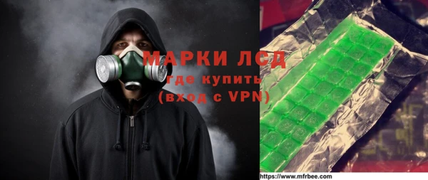 хмурый Лагань
