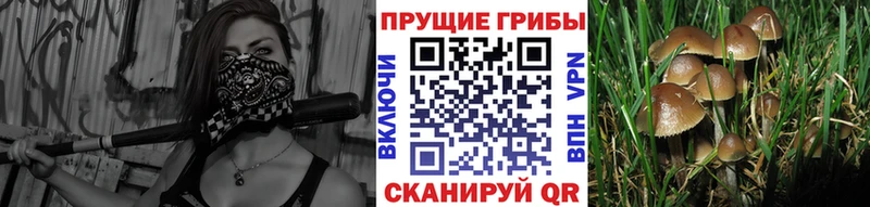 Псилоцибиновые грибы прущие грибы  мориарти официальный сайт  Удачный 